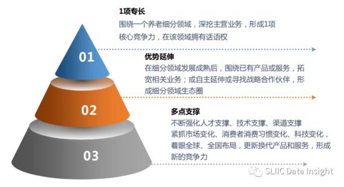 2020年中国养老产业发展白皮书发布 全文