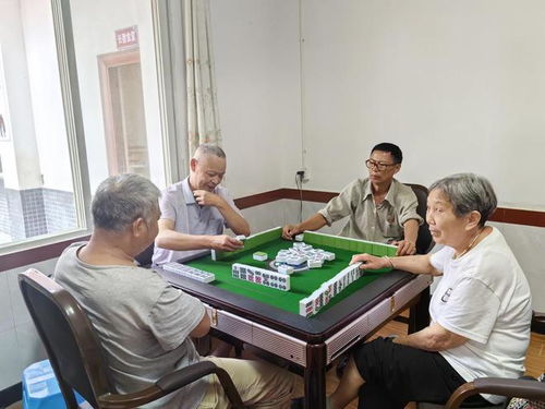 10元餐标只需付3元 四川内江健全农村养老服务体系 让老人 老有所依